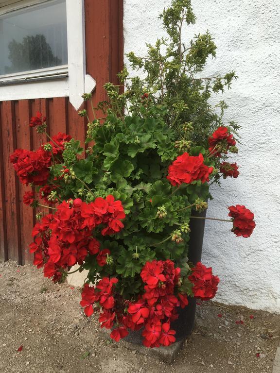 Apartment Torpgarden Oennerudsvaegen 56 Torsby
